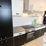 Rent 1 bedroom apartment of 26 m² in Nuremberg