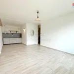 Pronajměte si 2 ložnic/e byt o rozloze 48 m² v Litoměřice