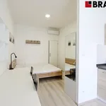 Rent 1 bedroom apartment of 19 m² in Brno