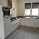 Rent 4 bedroom house of 150 m² in Eindhoven