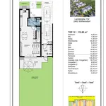 Neues Projekt: Doppelhaus oder Einzelhaus in Wilfleinsdorf! Geplante Fertigstellung Winter 2024/2025  - Reservierungen möglich