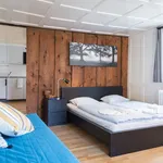 Miete 1 Schlafzimmer wohnung von 28 m² in Zug