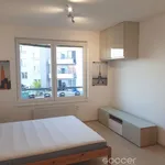 Rent 1 bedroom apartment of 30 m² in Prague