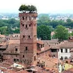 Rent 2 bedroom apartment of 52 m² in Lucca