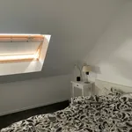 Rent 1 bedroom apartment in Lievegem