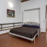 Rent 1 bedroom apartment in Florence