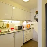 Rent 1 bedroom apartment of 50 m² in Porto