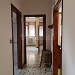 Rent 4 bedroom apartment of 111 m² in Carpineto Romano