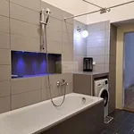 Rent 3 bedroom apartment of 100 m² in Praha