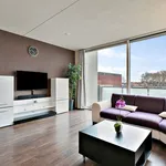 Huur 1 slaapkamer appartement van 53 m² in Tilburg