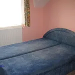 Rent 1 bedroom apartment in Postřelmov