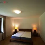 Rent 3 bedroom apartment of 70 m² in Střelice