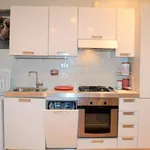 Rent 1 bedroom apartment of 32 m² in Roma