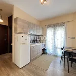 Rent 2 bedroom apartment of 60 m² in Thessaloniki Municipal Unit