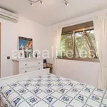 Apartment with 1 Bedroom in the Paradiso area