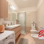 Rent 2 bedroom apartment of 58 m² in Novara