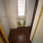 Rent 3 bedroom apartment of 75 m² in Torino