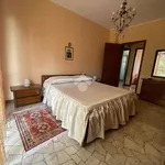 Rent 3 bedroom apartment of 80 m² in Novara