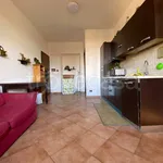 Rent 2 bedroom apartment of 45 m² in Genzano di Roma