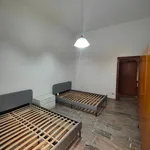 Rent 2 bedroom apartment of 60 m² in Bologna