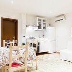 Rent 1 bedroom apartment in Bologna