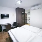 Rent 1 bedroom apartment in Vienna