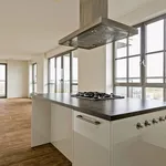 Rent 2 bedroom apartment of 111 m² in Tilburg