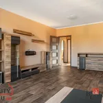 Rent 3 bedroom apartment in Pilsen