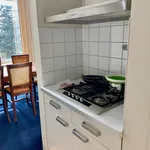 Huur 2 slaapkamer appartement van 120 m² in Den Haag