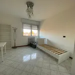 Rent 4 bedroom apartment of 160 m² in Bologna