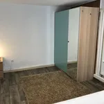 Miete 4 Schlafzimmer wohnung von 150 m² in Heidelberg