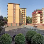 Rent 1 bedroom apartment of 60 m² in milan