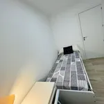 Rent 6 bedroom apartment in Madrid