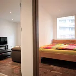 Rent 1 bedroom apartment of 40 m² in Prague