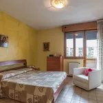 Rent 2 bedroom apartment of 70 m² in Roma