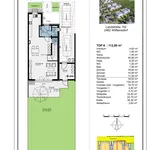 Neues Projekt: Doppelhaus oder Einzelhaus in Wilfleinsdorf! Geplante Fertigstellung Winter 2024/2025  - Reservierungen möglich