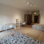 Rent a room in padua