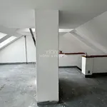 Pronajměte si 1 ložnic/e dům o rozloze 124 m² v České Budějovice