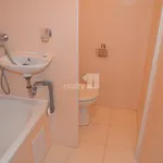 Rent 1 bedroom apartment in Ústí nad Labem