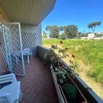 Rent 2 bedroom apartment of 50 m² in Roma