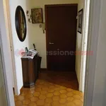 Rent 4 bedroom apartment of 82 m² in Livorno