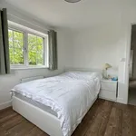 Rent 4 bedroom flat in Southampton