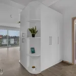 Rent 3 bedroom apartment of 79 m² in Staré Město