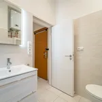 Rent 1 bedroom apartment of 38 m² in Praha 3 - Žižkov