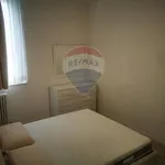 Rent 3 bedroom apartment of 80 m² in Bologna