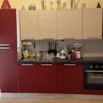 Rent 3 bedroom apartment of 80 m² in Turin