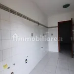 Rent 4 bedroom apartment of 110 m² in Frosinone