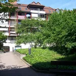 Rent 2 bedroom apartment of 50 m² in Heidelberg