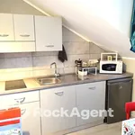 Rent 2 bedroom apartment of 33 m² in Turin