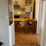 Rent 3 bedroom apartment of 68 m² in Torino